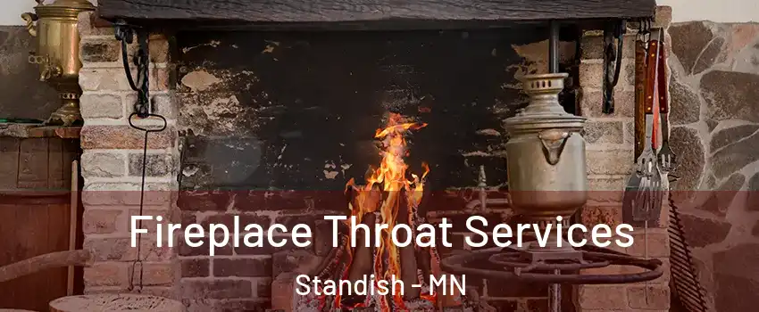 Fireplace Throat Services Standish - MN