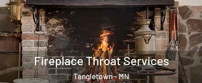 Fireplace Throat Services Tangletown - MN