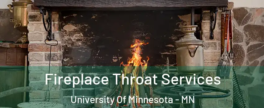 Fireplace Throat Services University Of Minnesota - MN