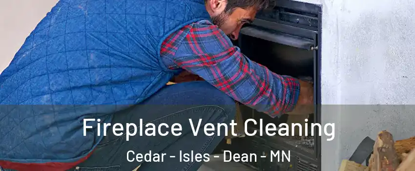 Fireplace Vent Cleaning Cedar - Isles - Dean - MN