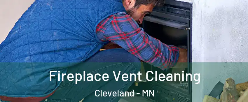Fireplace Vent Cleaning Cleveland - MN