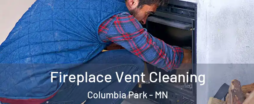 Fireplace Vent Cleaning Columbia Park - MN