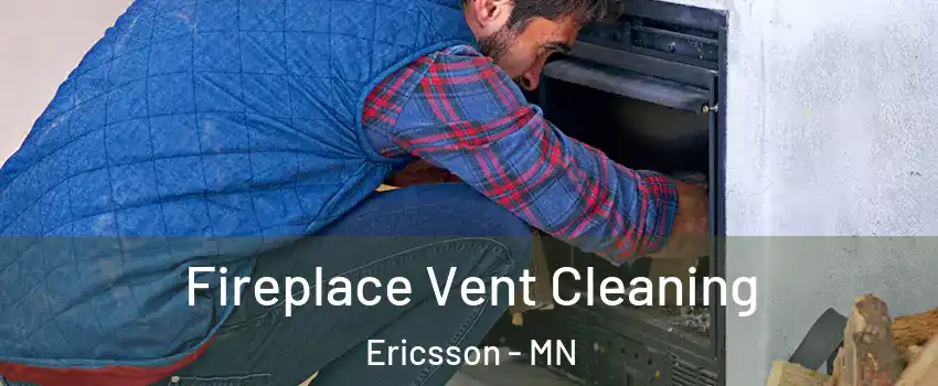 Fireplace Vent Cleaning Ericsson - MN