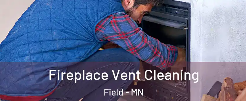 Fireplace Vent Cleaning Field - MN
