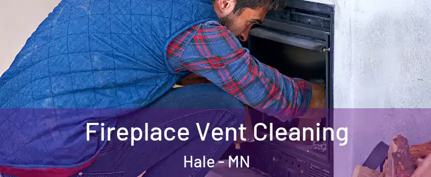 Fireplace Vent Cleaning Hale - MN