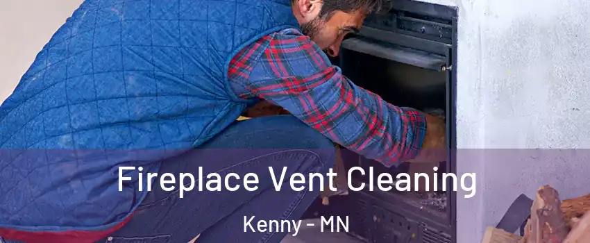 Fireplace Vent Cleaning Kenny - MN
