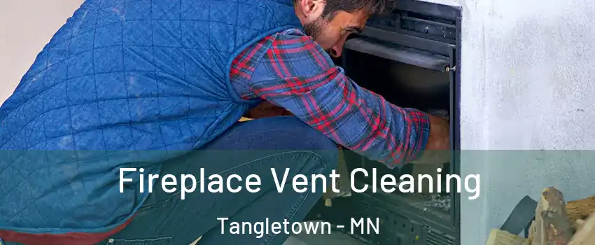 Fireplace Vent Cleaning Tangletown - MN