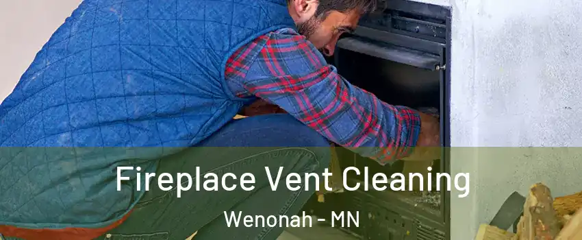 Fireplace Vent Cleaning Wenonah - MN