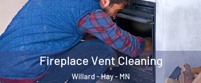 Fireplace Vent Cleaning Willard - Hay - MN