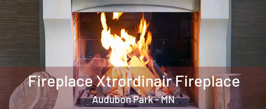 Fireplace Xtrordinair Fireplace Audubon Park - MN
