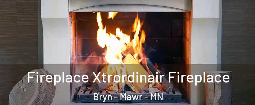 Fireplace Xtrordinair Fireplace Bryn - Mawr - MN