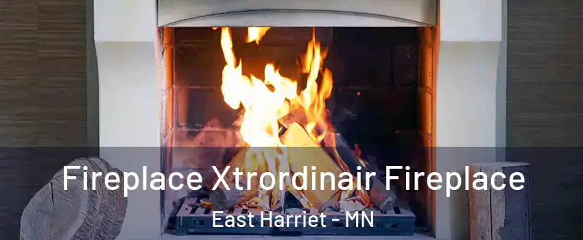 Fireplace Xtrordinair Fireplace East Harriet - MN