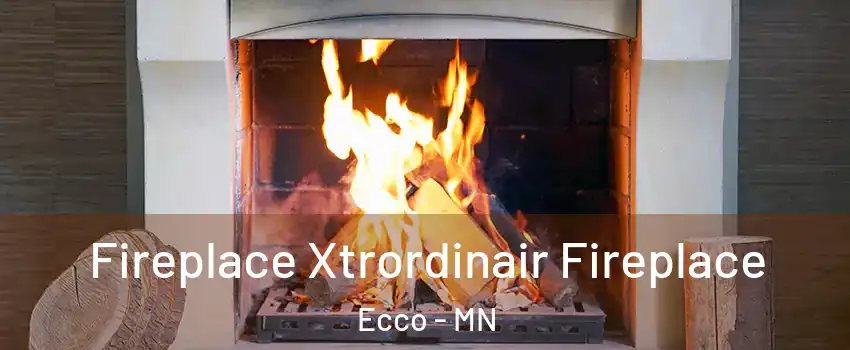 Fireplace Xtrordinair Fireplace Ecco - MN