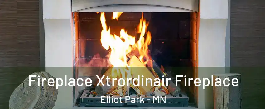 Fireplace Xtrordinair Fireplace Elliot Park - MN