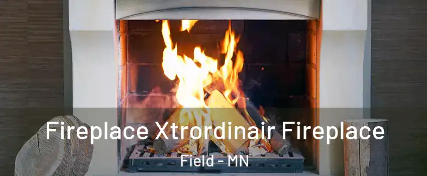 Fireplace Xtrordinair Fireplace Field - MN