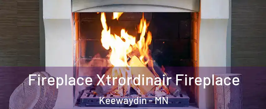 Fireplace Xtrordinair Fireplace Keewaydin - MN
