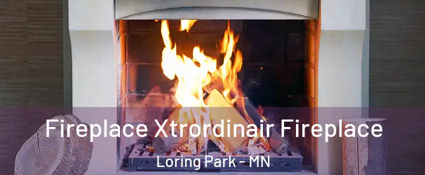 Fireplace Xtrordinair Fireplace Loring Park - MN