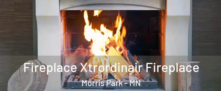 Fireplace Xtrordinair Fireplace Morris Park - MN
