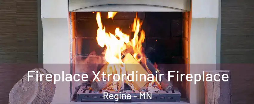 Fireplace Xtrordinair Fireplace Regina - MN