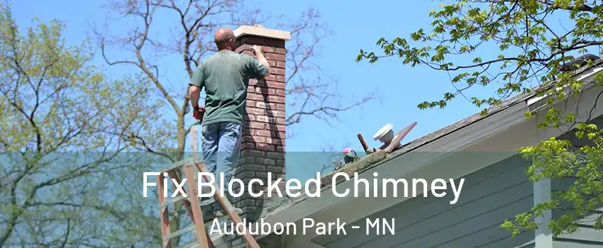 Fix Blocked Chimney Audubon Park - MN