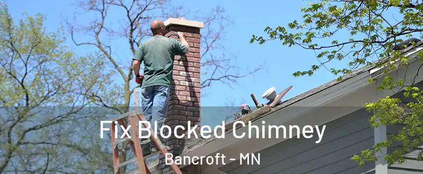 Fix Blocked Chimney Bancroft - MN