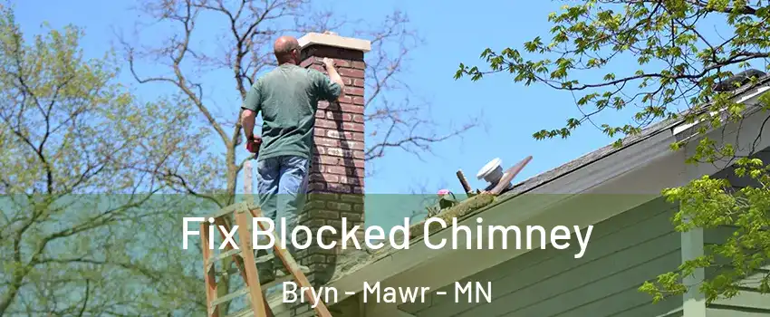 Fix Blocked Chimney Bryn - Mawr - MN