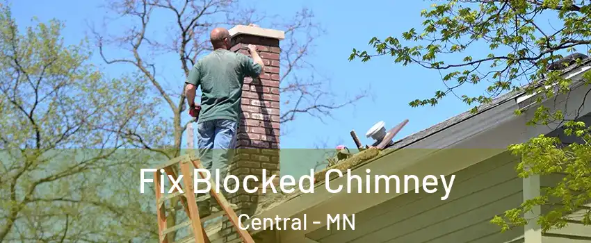 Fix Blocked Chimney Central - MN
