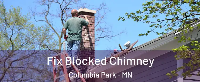 Fix Blocked Chimney Columbia Park - MN