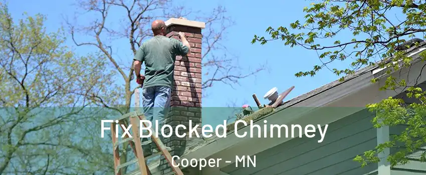 Fix Blocked Chimney Cooper - MN