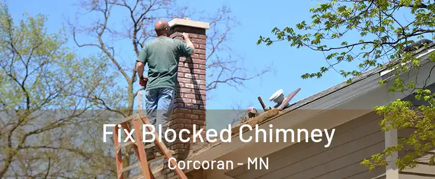Fix Blocked Chimney Corcoran - MN