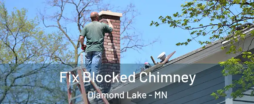 Fix Blocked Chimney Diamond Lake - MN