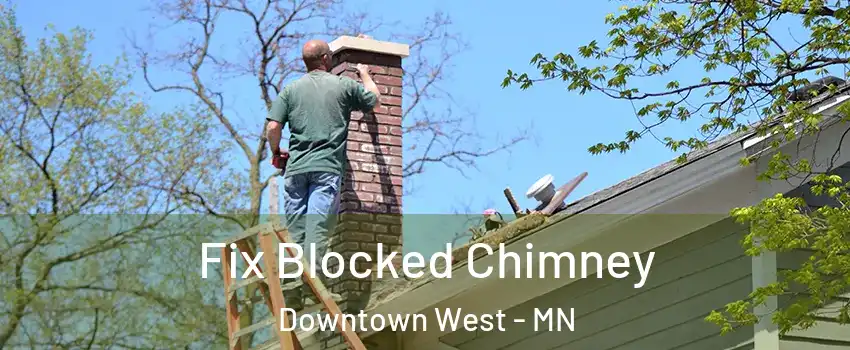 Fix Blocked Chimney Downtown West - MN