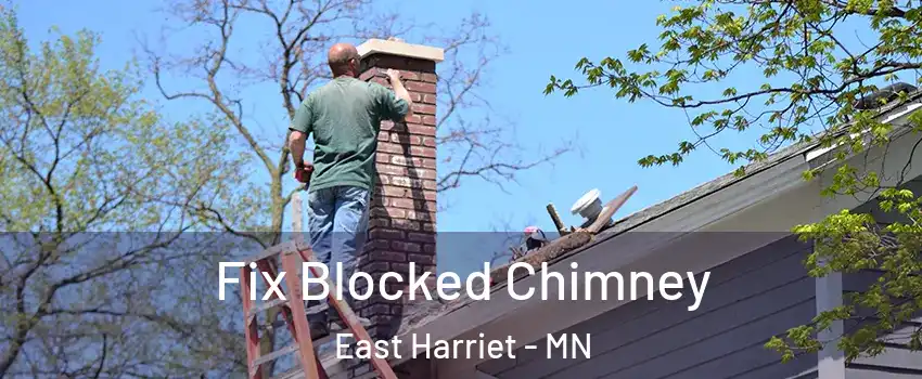 Fix Blocked Chimney East Harriet - MN