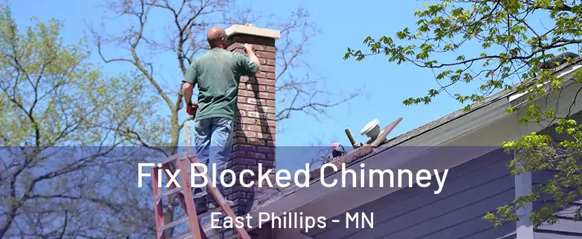 Fix Blocked Chimney East Phillips - MN