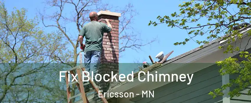 Fix Blocked Chimney Ericsson - MN