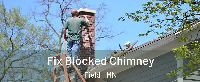 Fix Blocked Chimney Field - MN