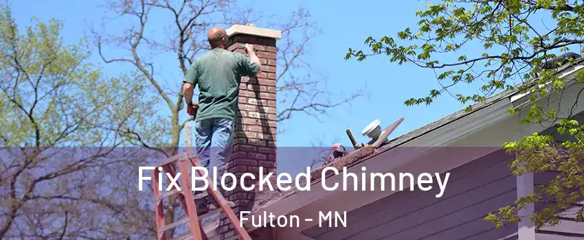 Fix Blocked Chimney Fulton - MN