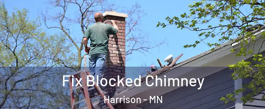 Fix Blocked Chimney Harrison - MN