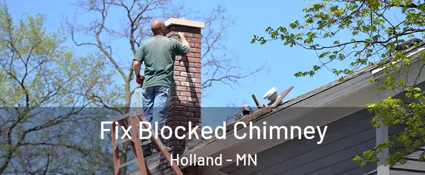 Fix Blocked Chimney Holland - MN