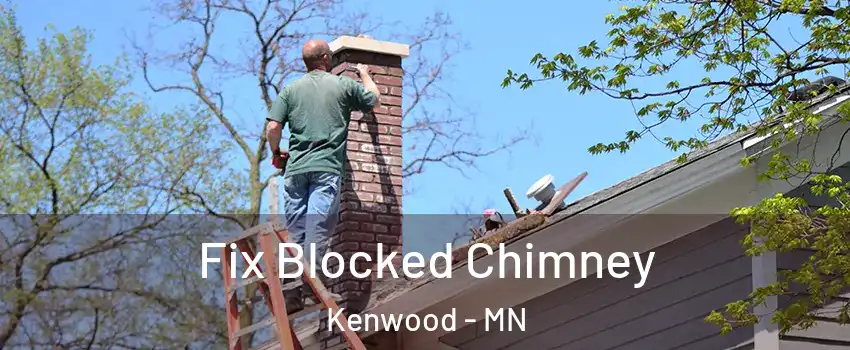 Fix Blocked Chimney Kenwood - MN