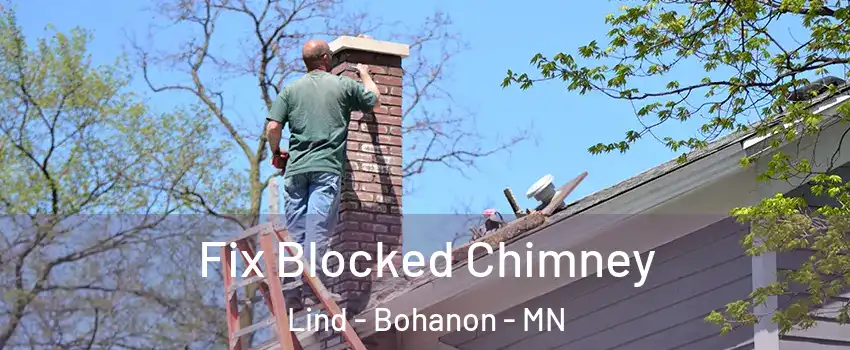 Fix Blocked Chimney Lind - Bohanon - MN