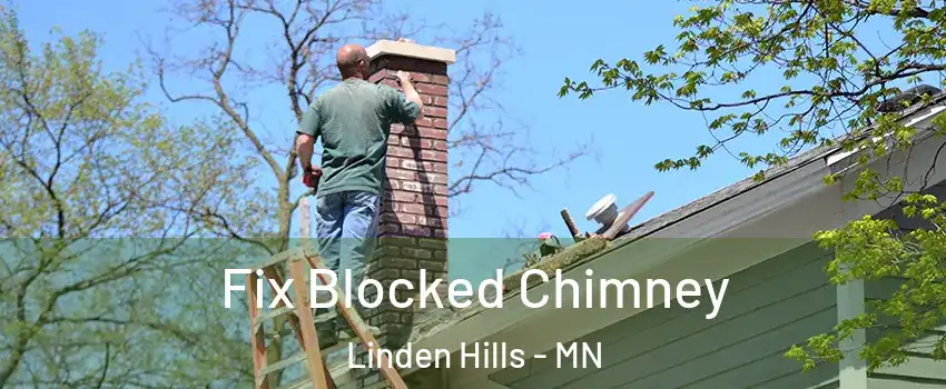 Fix Blocked Chimney Linden Hills - MN