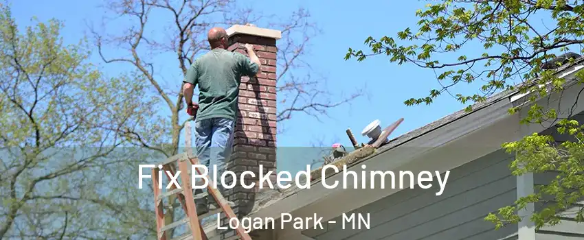 Fix Blocked Chimney Logan Park - MN