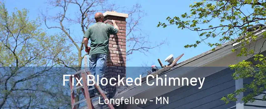 Fix Blocked Chimney Longfellow - MN