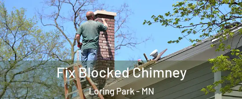 Fix Blocked Chimney Loring Park - MN