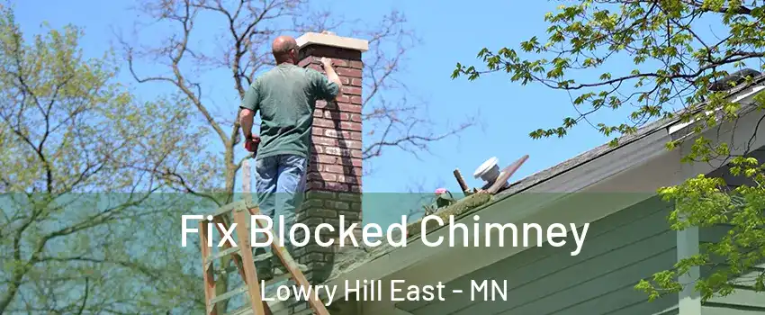 Fix Blocked Chimney Lowry Hill East - MN