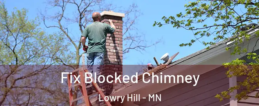 Fix Blocked Chimney Lowry Hill - MN