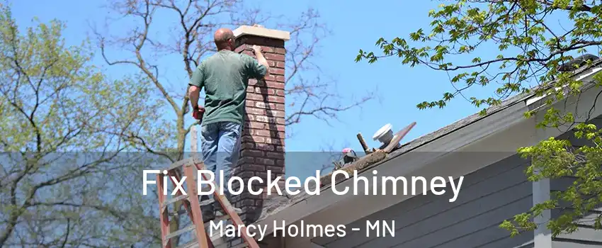 Fix Blocked Chimney Marcy Holmes - MN