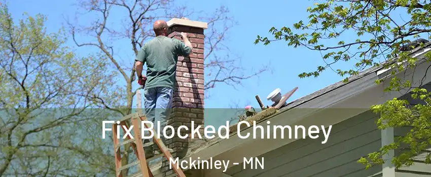 Fix Blocked Chimney Mckinley - MN