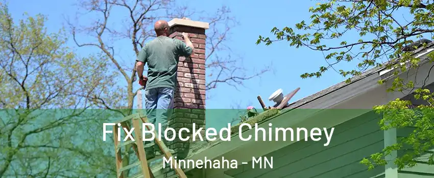Fix Blocked Chimney Minnehaha - MN